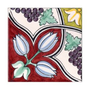 piastrella-maiolica-vp12-20×20