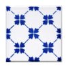 piastrella-maiolica-vp163-10x10